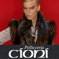 PELLICCERIA CIONI